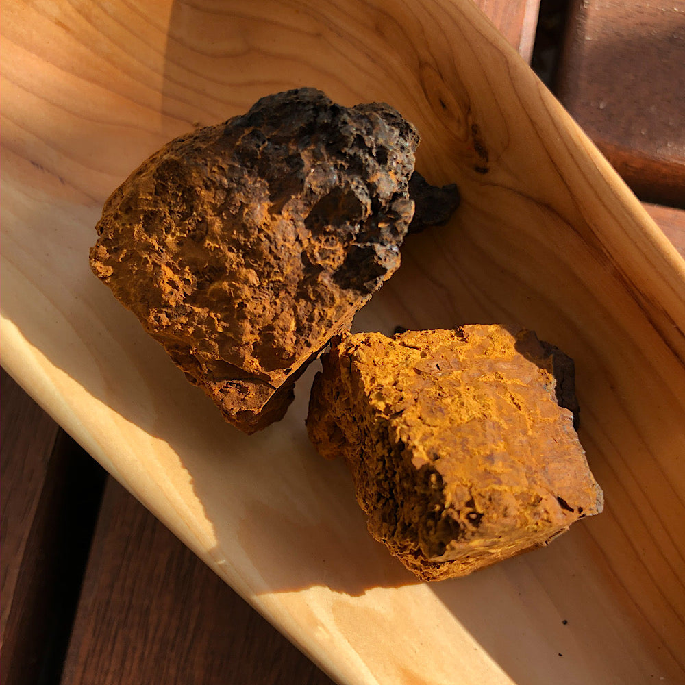 Chaga Poeder (biologisch) - 100 gram