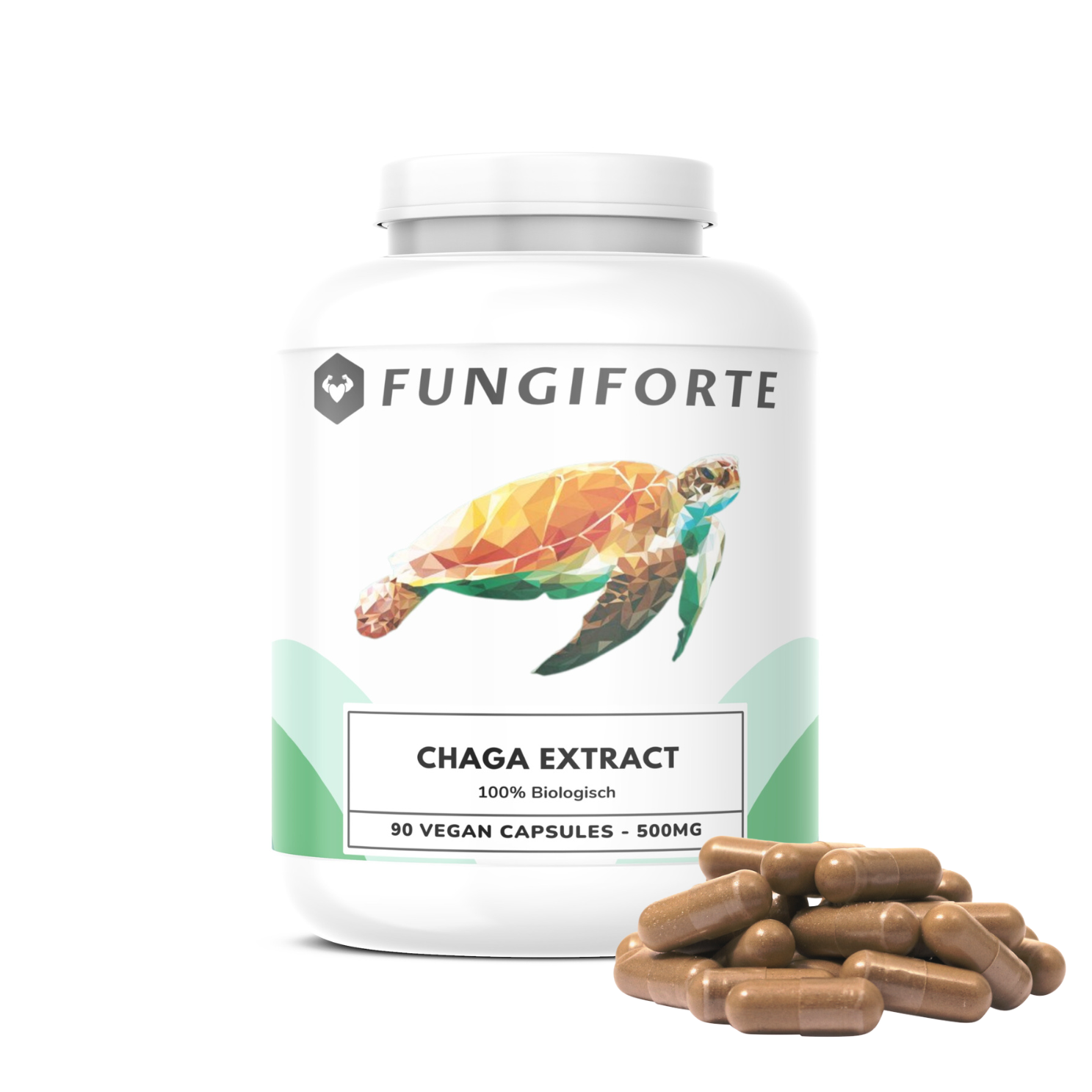 Chaga Extract 500mg (biologisch) - 90 stuks