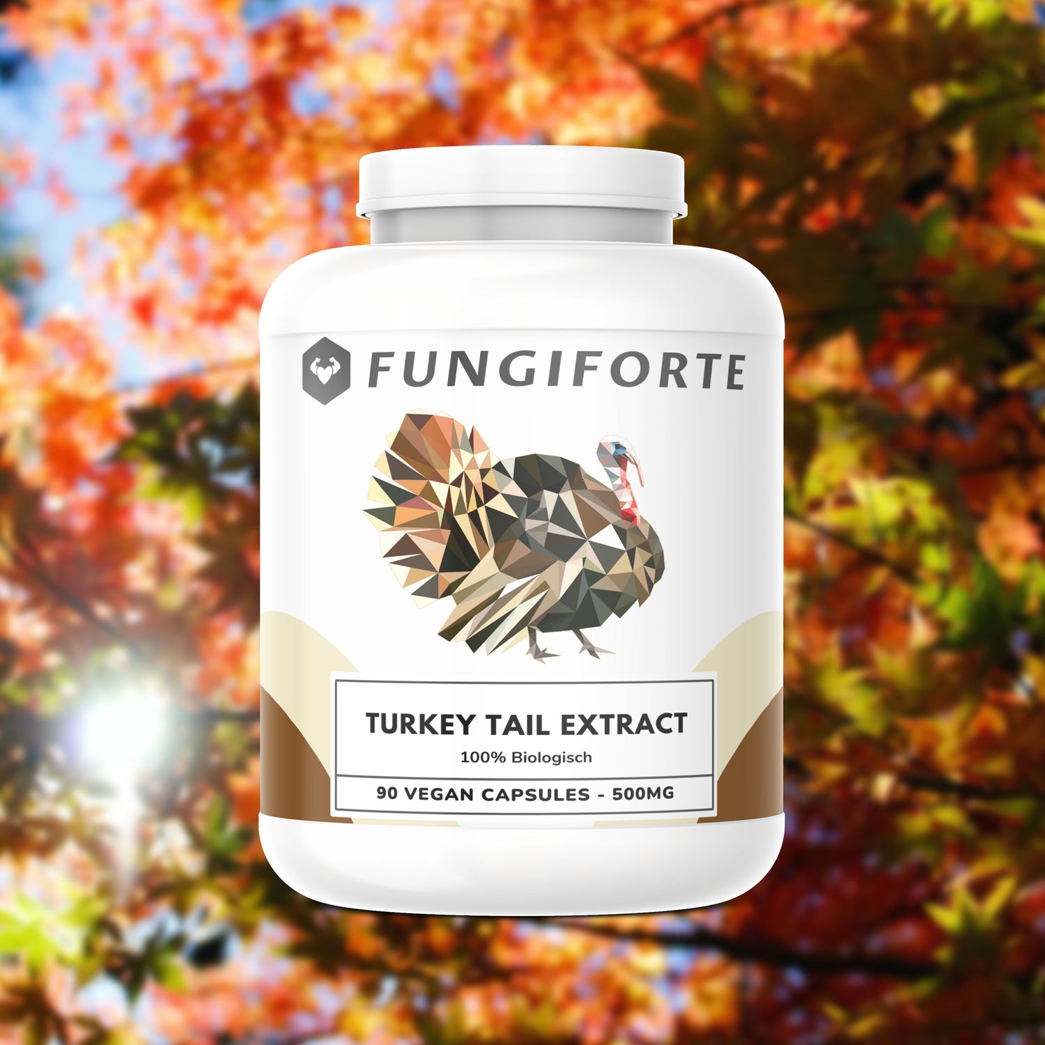 Turkey Tail Extract 500mg (biologisch) - 90 stuks